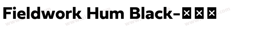 Fieldwork Hum Black字体转换